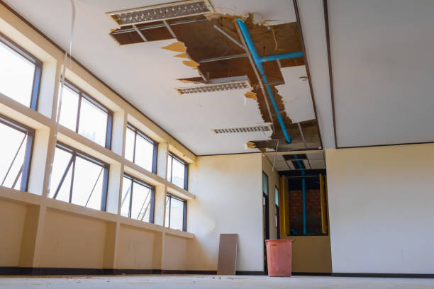 Best Ceiling water damage repair  in Lisbon, ME