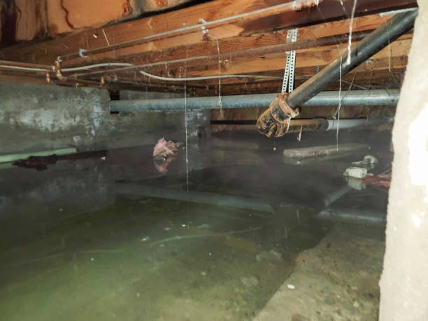 Best Water damage restoration insurance claims  in Lisbon, ME