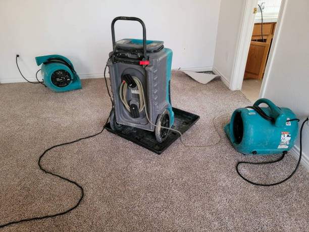 Best Water damage cleanup near me  in Lisbon, ME