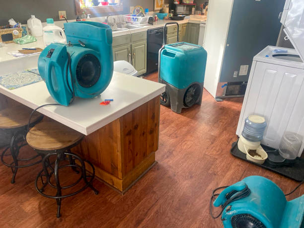 Best 24/7 water damage repair  in Lisbon, ME