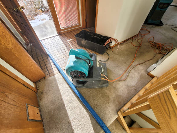 Best Local water damage restoration  in Lisbon, ME