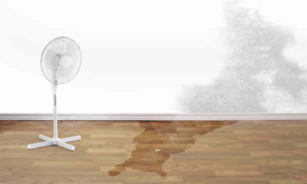 Best Professional water damage repair  in Lisbon, ME