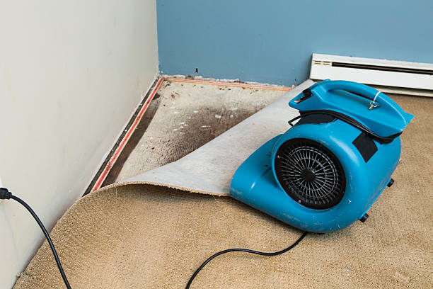Best Water damage repair service  in Lisbon, ME